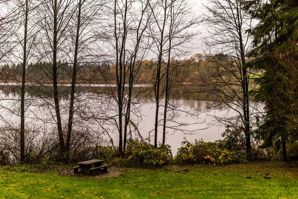 Deer Lake Park Deszczowy Jesienny Dzień Listopadzie Burnaby British Columbia — Zdjęcie stockowe