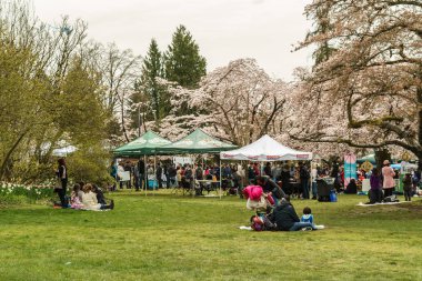 Vancouver, Kanada - 14 Nisan 2018: Queen Elizabeth Park Vancouver Bc Canada'daki Cherry Blossoms Festivali'nde insanlar