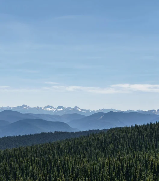 Prachtig uitzicht op de bergen weide in zomer seizoen zonnig weer blauwe hemel en groen bos achtergrond — Stockfoto