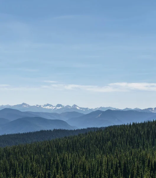 Hermosa vista de las montañas prado en temporada de verano Tiempo soleado cielo azul y bosque verde fondo — Foto de Stock