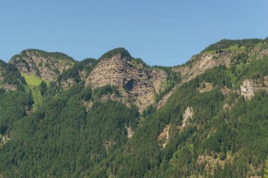 Güzel bir yaz sezonu güneşli hava mavi gökyüzü ve yeşil orman arka planda dağlar çayır manzarası.