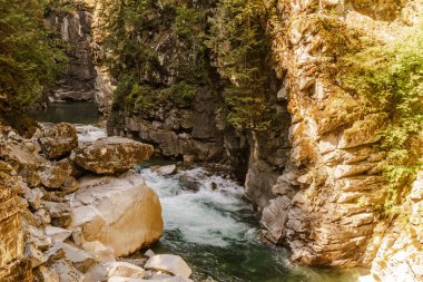 British Columbia Kanada yeşil orman ile Coquihalla nehir Pastoral manzara