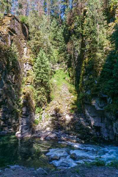 Coquihalla Fiume Paesaggio Idilliaco Con Foresta Verde Nella Columbia Britannica — Foto Stock