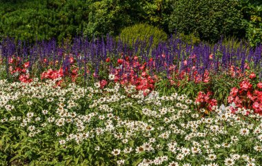Güzel çiçekler ile Yeşil dekoratif bahçe Nötr manzara.