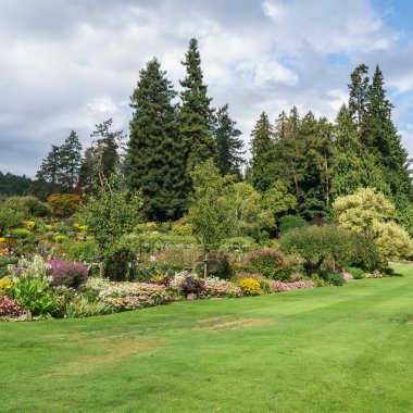 Brentwood Bay, Kanada - 01 Eylül 2018: Yeşil dekoratif bahçe Yeşil alanlı nötr peyzaj.