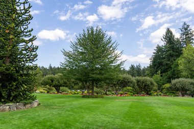 Brentwood Bay, Kanada - 01 Eylül 2018: Yeşil dekoratif bahçe Yeşil alanlı nötr peyzaj.