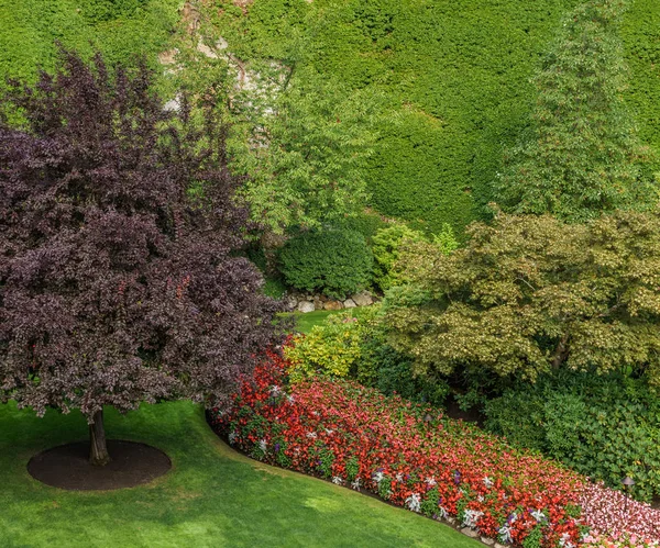 Brentwood Bay, CANADÁ - 01 de septiembre de 2018: Jardín verde decorativo Paisaje neutral con campo verde . —  Fotos de Stock