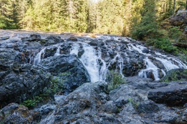 yağmur ormanlarında küçük şelale ile Kanada manzara.