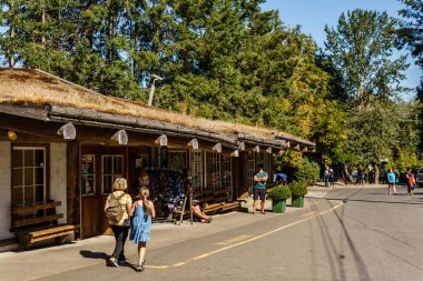 Coombs, Kanada - 02 Eylül 2018: Vancouver adasındaki Old Country Market'te keçiler çatıda.