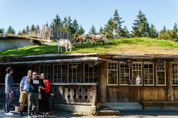 Coombs, CANADÁ - 02 de septiembre de 2018: Cabras en el techo del Old Country Market en la isla de Vancouver . — Foto de Stock