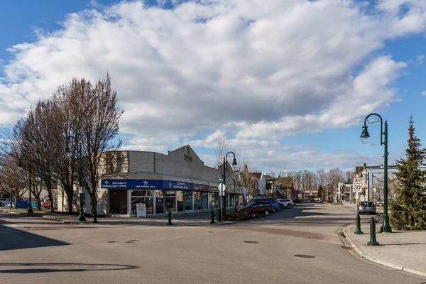 DELTA, CANADÁ - 24 de febrero de 2019: vista a la calle del pueblo pesquero Ladter suburbio de Vancouver . —  Fotos de Stock