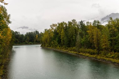Beton Washington ABD yakın sonbahar yağmurlu gün bulutlu gökyüzünde bir ormanda Baker Nehri.