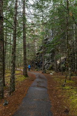 Sonbaharda güzel sonbahar ormanı dağ yolu.