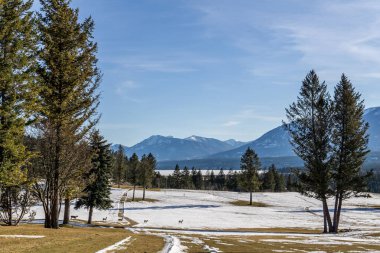 mavi gökyüzü ile Kanada alp çayır güzel erken bahar görünümü.