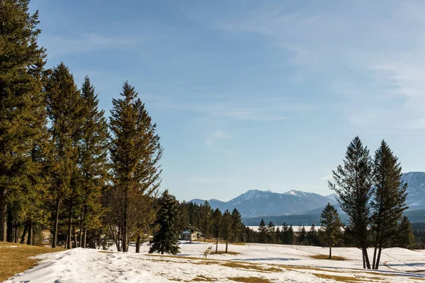 Vacker tidig vårvy över den kanadensiska alpina ängen med blå himmel. — Stockfoto