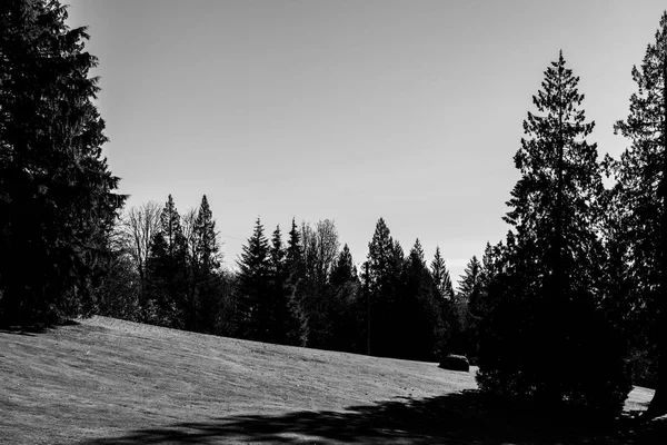 Trilha de caminhadas no Burnaby Mountain Park no dia ensolarado do outono . — Fotografia de Stock