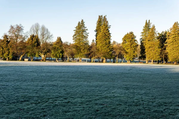 Vancouver, Kanada-19. listopad 2018: Douglas Park zelené pole časně ráno s mrazem. — Stock fotografie