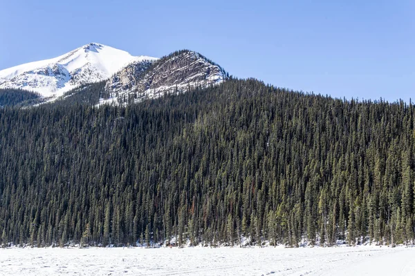 Montaña y bosque siempreverde principios de primavera en Alberta Canadá . — Foto de Stock