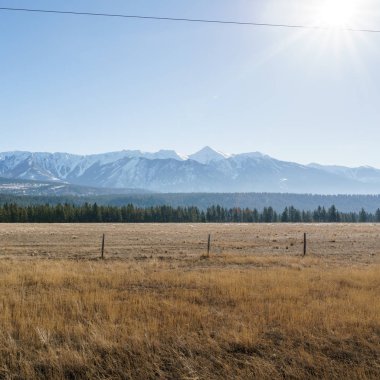 Britanya Kolombiyası Kanada'nın doğusunda Kuzey Amerika bozkırı veya bitki örtüsü bölgesi.