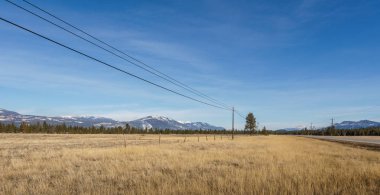 Britanya Kolombiyası Kanada'nın doğusunda Kuzey Amerika bozkırı veya bitki örtüsü bölgesi.