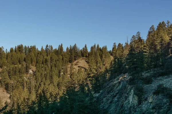 Utsikt över berg och skogslandskap under solljus tidigt på våren som bakgrund. — Stockfoto