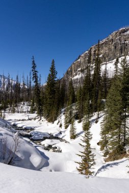 mermer Kanyon il parkı british columbia kanada muhteşem wintry sahne erken bahar.