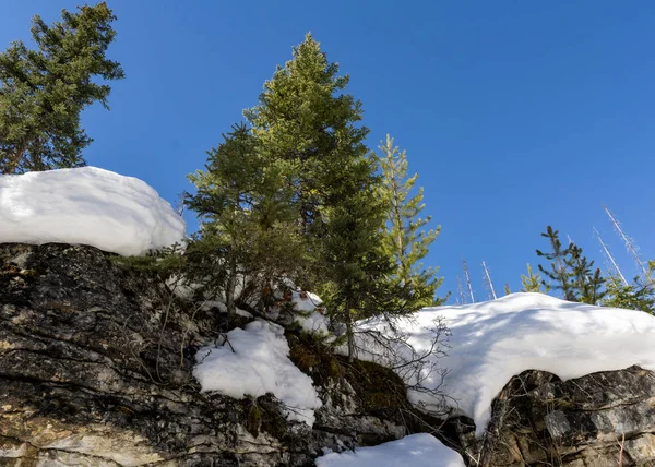 Magnifique scène hivernale au début du printemps dans le parc provincial Marble Canyon Colombie-Britannique canada . — Photo