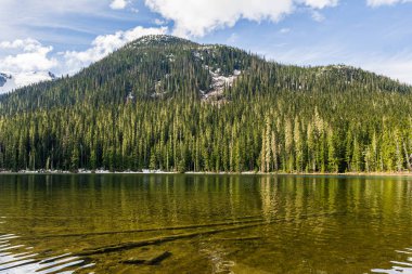 British Columbia Canada'da dağ joffre lakları ile pastoral bahar manzarası.
