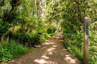 Bowen Island, Kanada - 2 Haziran 2019: Killarney Gölü british columbia yakınlarındaki parkta kolay yürüyüş parkuru.