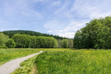 Killarney Lake Bowen adası british columbia yakınlarındaki parkta kolay yürüyüş parkuru.