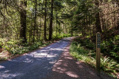 Bowen Island, Kanada - 2 Haziran 2019: Killarney Gölü british columbia yakınlarındaki parkta kolay yürüyüş parkuru.