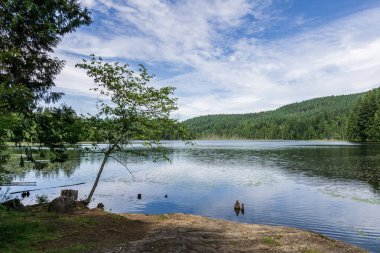 manzara killarney göl bowen ada kanada ve mavi gökyüzü.