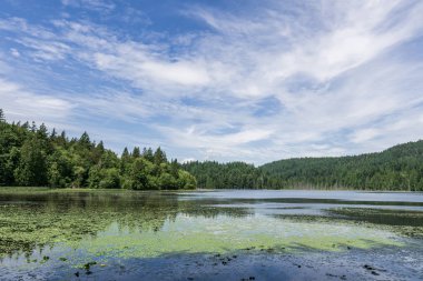 manzara killarney göl bowen ada kanada ve mavi gökyüzü.