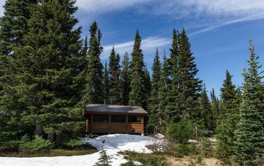 Dağlarda Kamp Garibaldi Provincial Park güneşli yaz sabahı.