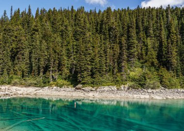 garibaldi göl de dağda orman ile güzel güneşli sabah görünümü.
