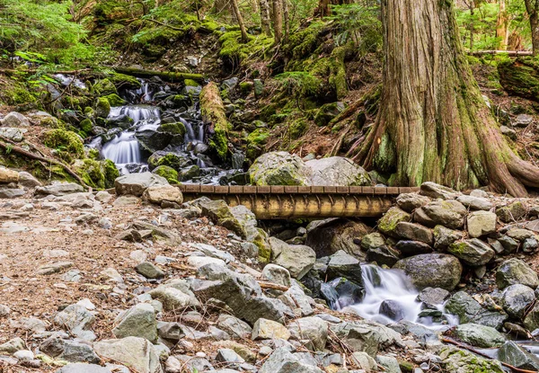 Fast mountain stream at summer time in in garibaldi provincial park canada. — Stock Photo, Image