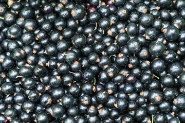 arka plan veya doku için siyah frenk üzümü büyük çilek üst görünümü.