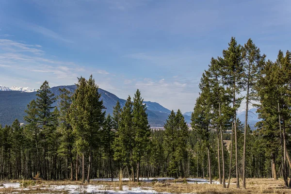Tempo de primavera no parque montês rochoso canadense com neve e árvores verdes . — Fotografia de Stock