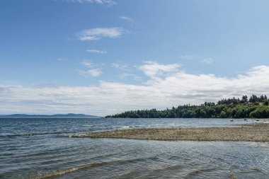 Bulutlu siluet Vancouver adası Kanada ile pasifik kıyısıpanoramik görünümü.