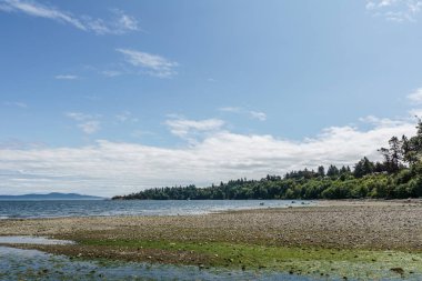 Bulutlu siluet Vancouver adası Kanada ile pasifik kıyısıpanoramik görünümü.