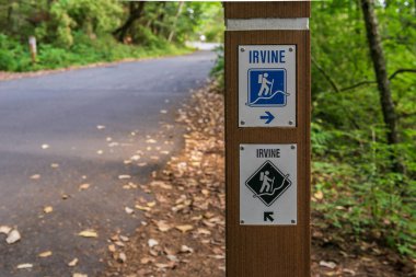 Victoria, Kanada - 13 Temmuz 2019: Mount Douglas Park Vancouver Adası'nda forrest Irvine izi.