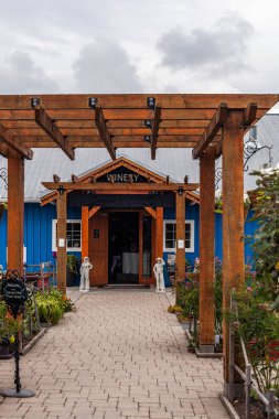 Langley City, Kanada - 10 Ağustos 2019 Krause Berry Çiftlikleri ve hafta sonunu ailesiyle geçirmek için popüler bir yer