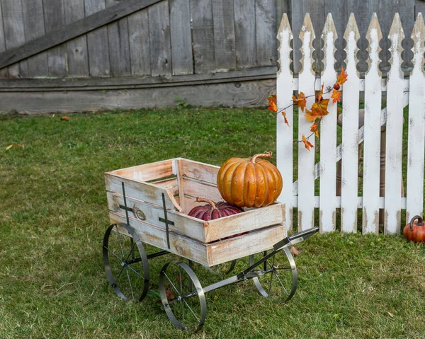 Balkabakları ahşap vagon ve çitlerle sonbahar arkaplanı.