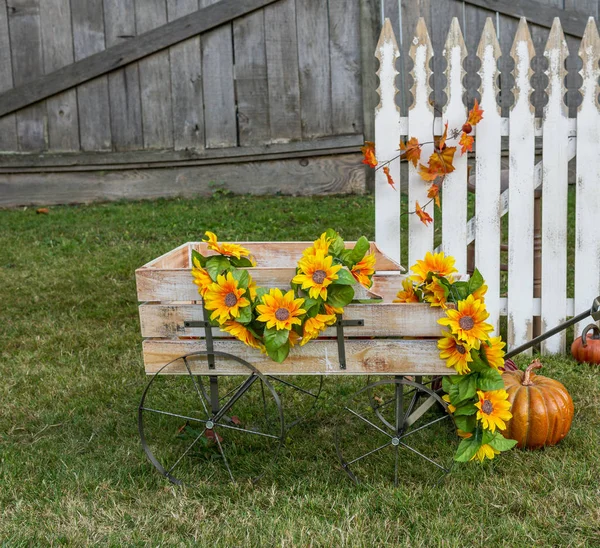 Fond d'automne avec citrouilles chariot en bois et clôture . — Photo