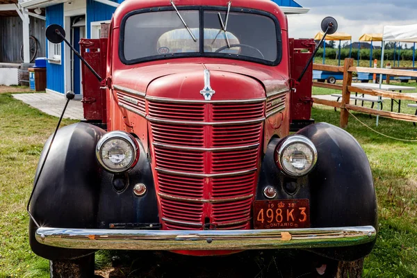 Langley City, Kanada - 10. August 2019: Krause Beerenfarmen und Weingut beliebter Ort, um das Wochenende mit der Familie zu verbringen — Stockfoto