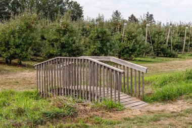 Ağaçlı küçük ahşap köprü elma çiftliği.