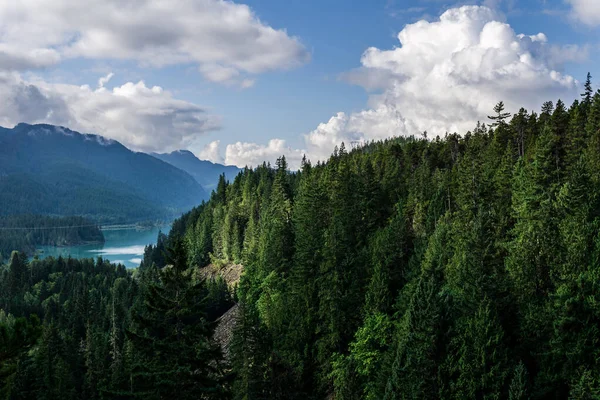 Whistler British Columbia Kanada yakınlarındaki Brandywine Falls eyalet parkından doğa manzarası. — Stok fotoğraf