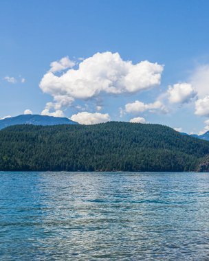 Kıyıdan Harrison Gölü 'ne Kanada Kolumbiyası' na Kanada yeşil kara, mavi su ve gökyüzü