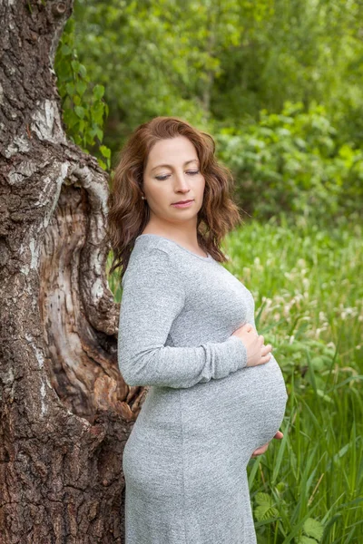 날푸른 의나무 근처에서 아름답게 차려입은 임신부 — 스톡 사진