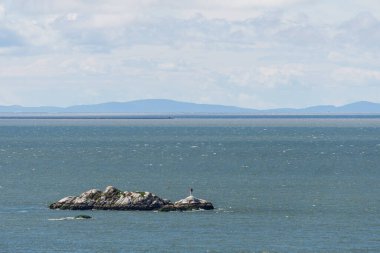 Howe Sound 'daki Pasifik Okyanusu kıyısındaki Kanada deniz manzarası çok güzel.